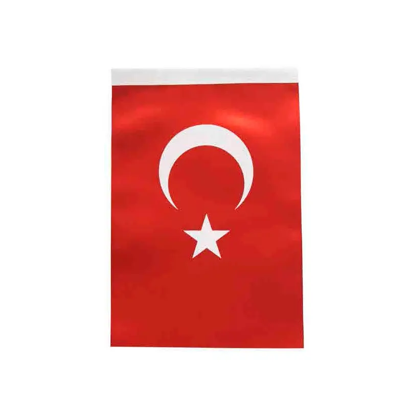 Inter B-005 Türk Bayrağı 60x90cm