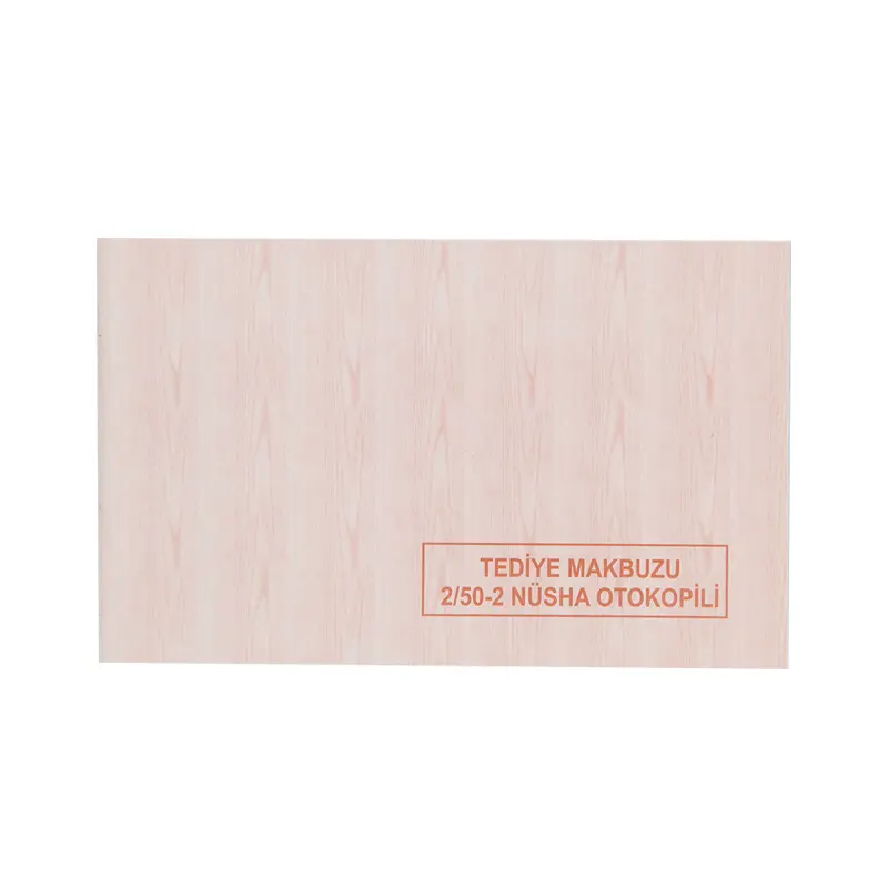 Dilman Tediye Makbuzu 190x135mm 2/50 3 Nüsha Otokopili 6 Lı Paket