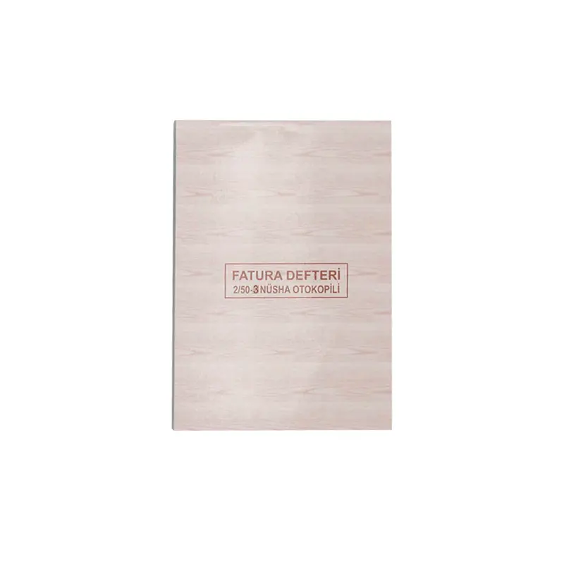 Dilman Fatura Defteri 135x190mm 2/50 3 Nüsha Otokopili 6 Lı Paket
