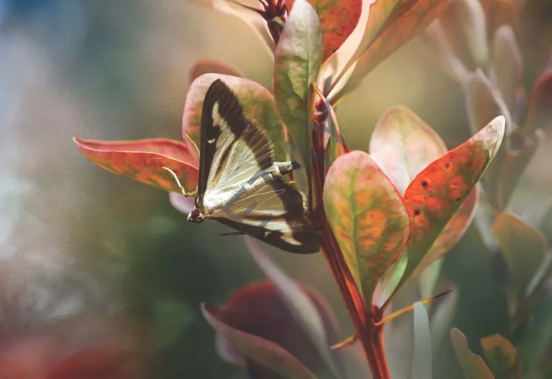 Rölyef Poster Baskı Kağıt Boyutu: 33x48cm 300 Gr. Kuşe Kagıt 10 Adet