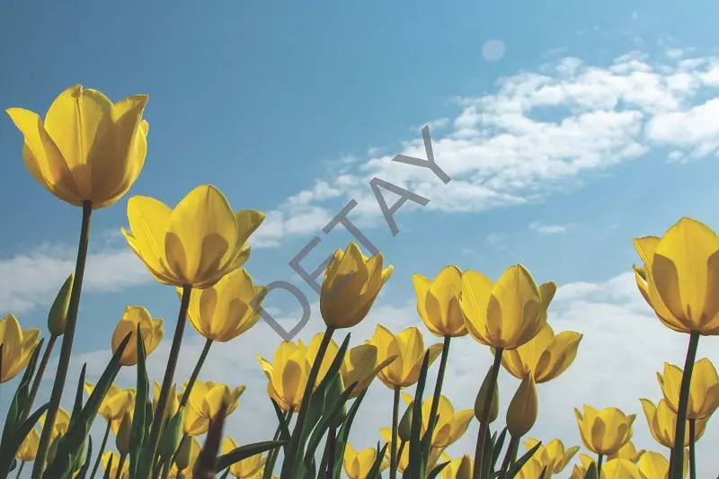 Rölyef Poster Baskı Kağıt Boyutu: 33x48cm 300 Gr. Kuşe Kagıt 10 Adet