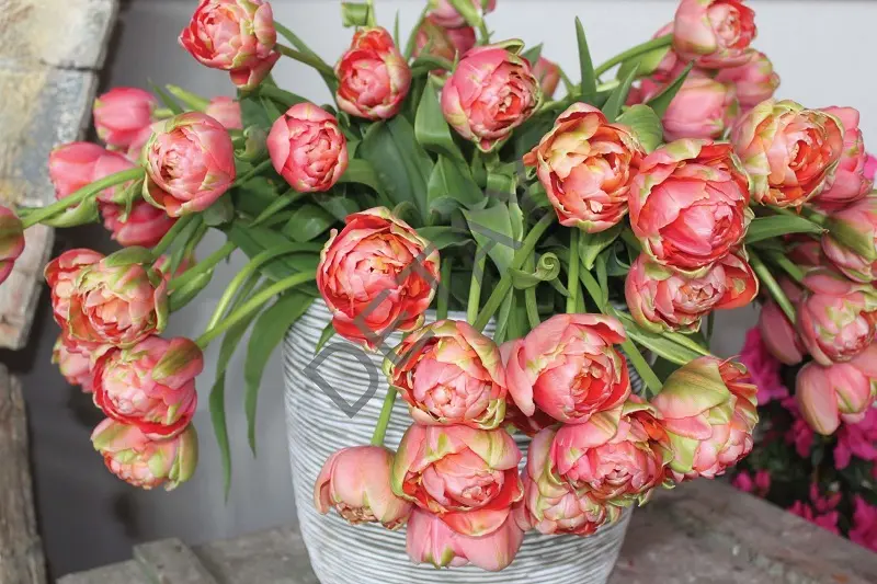 Rölyef Poster Baskı Kağıt Boyutu: 33x48cm 300 Gr. Kuşe Kagıt 10 Adet