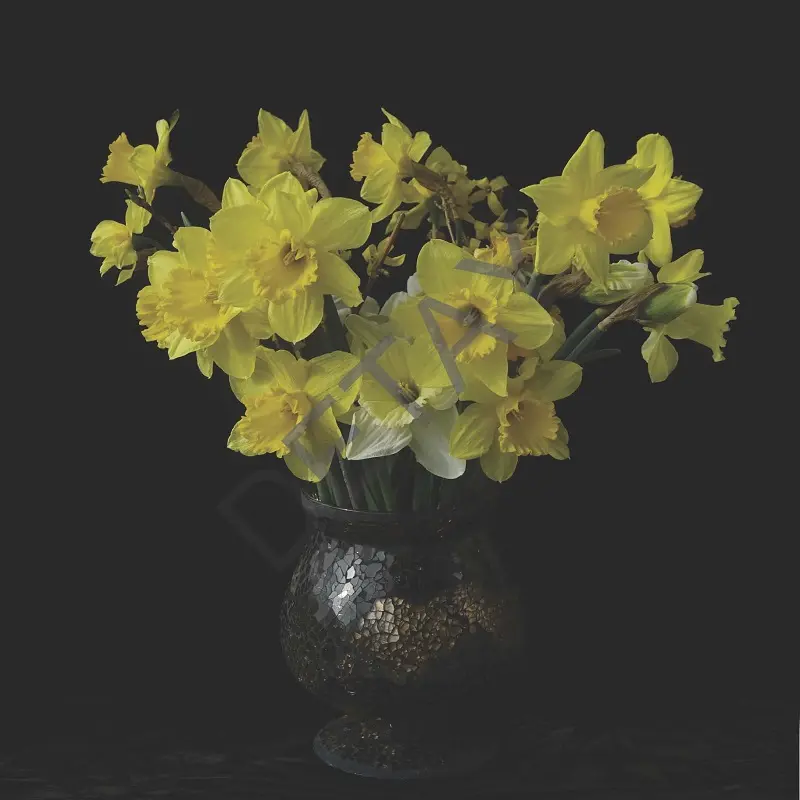 Rölyef Poster Baskı Kağıt Boyutu: 33x48cm 300 Gr. Kuşe Kagıt 10 Adet