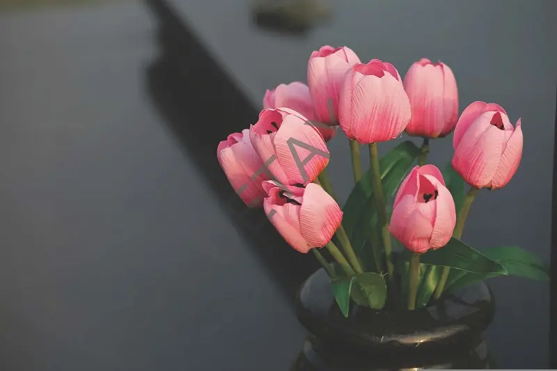 Rölyef Poster Baskı Kağıt Boyutu: 33x48cm 300 Gr. Kuşe Kagıt 10 Adet