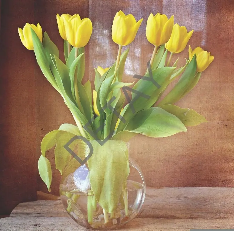 Rölyef Poster Baskı Kağıt Boyutu: 33x48cm 300 Gr. Kuşe Kagıt 10 Adet