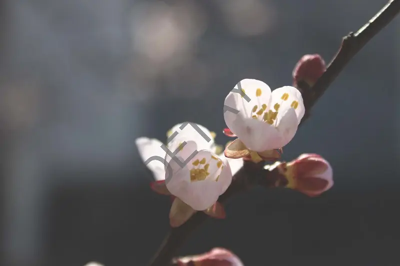 Rölyef Poster Baskı Kağıt Boyutu: 33x48cm 300 Gr. Kuşe Kagıt 10 Adet