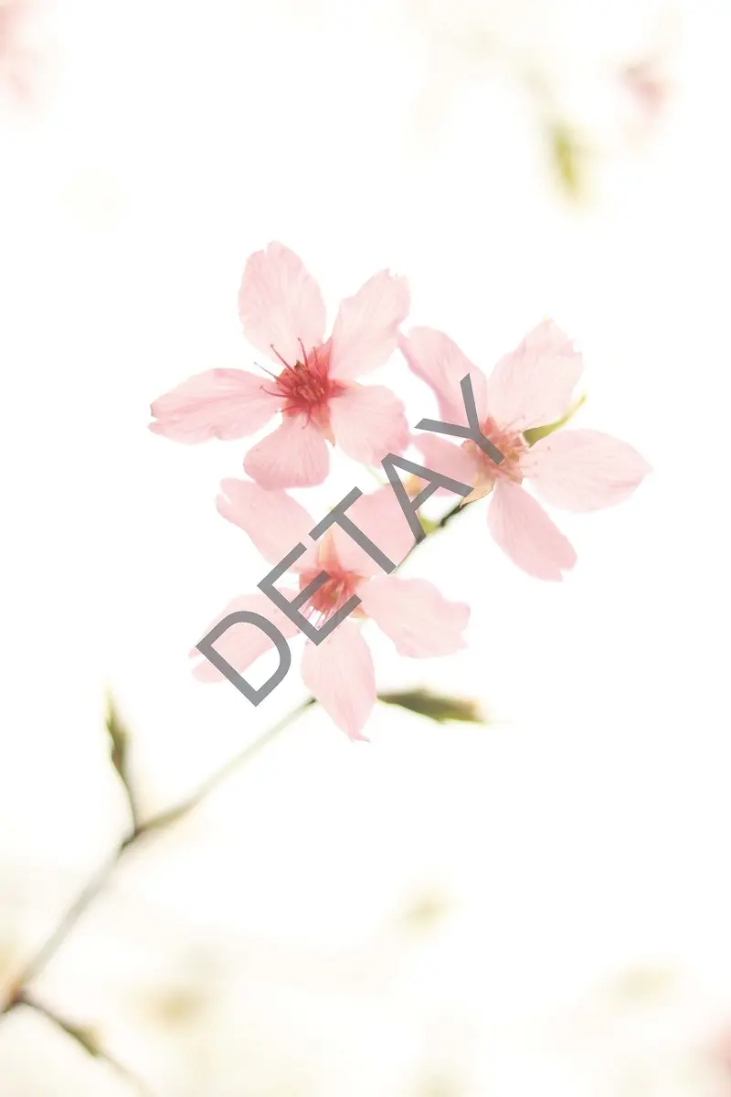 Rölyef Poster Baskı Kağıt Boyutu: 33x48cm 300 Gr. Kuşe Kagıt 10 Adet