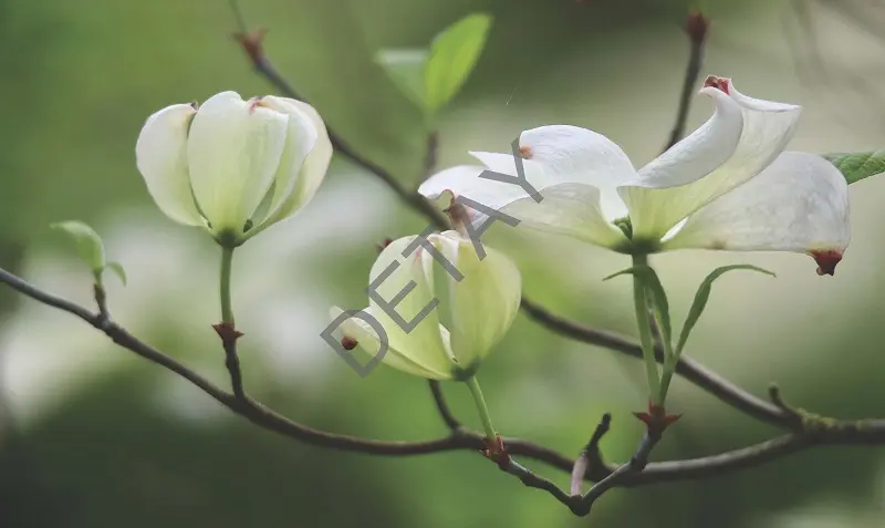 Rölyef Poster Baskı Kağıt Boyutu: 33x48cm 300 Gr. Kuşe Kagıt 10 Adet