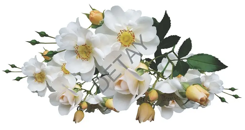 Rölyef Poster Baskı Kağıt Boyutu: 33x48cm 300 Gr. Kuşe Kagıt 10 Adet