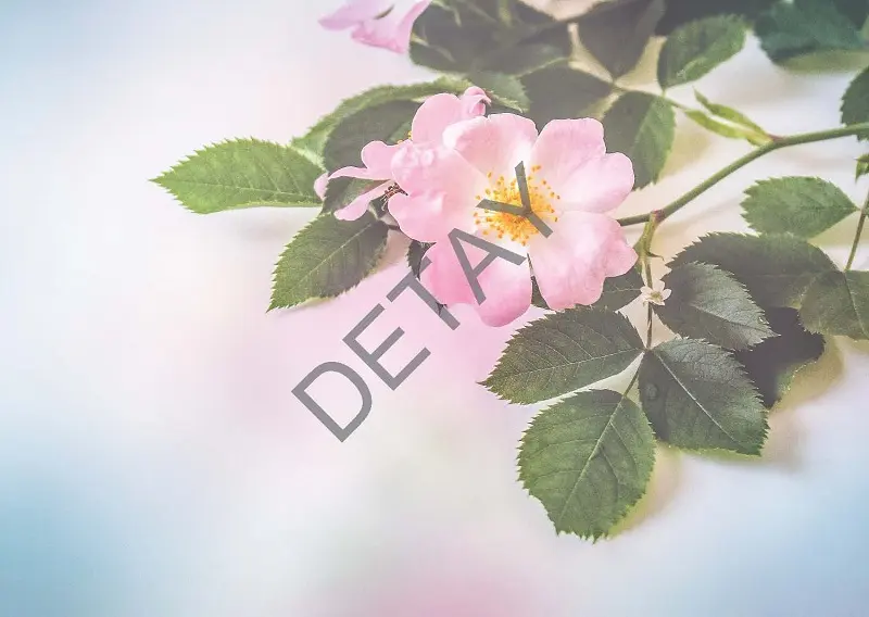 Rölyef Poster Baskı Kağıt Boyutu: 33x48cm 300 Gr. Kuşe Kagıt 10 Adet