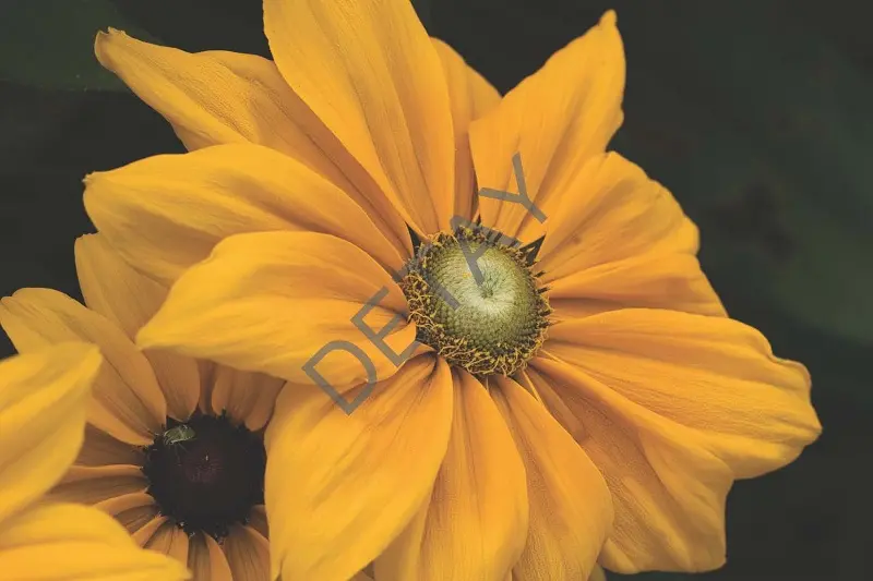 Rölyef Poster Baskı Kağıt Boyutu: 33x48cm 300 Gr. Kuşe Kagıt 10 Adet