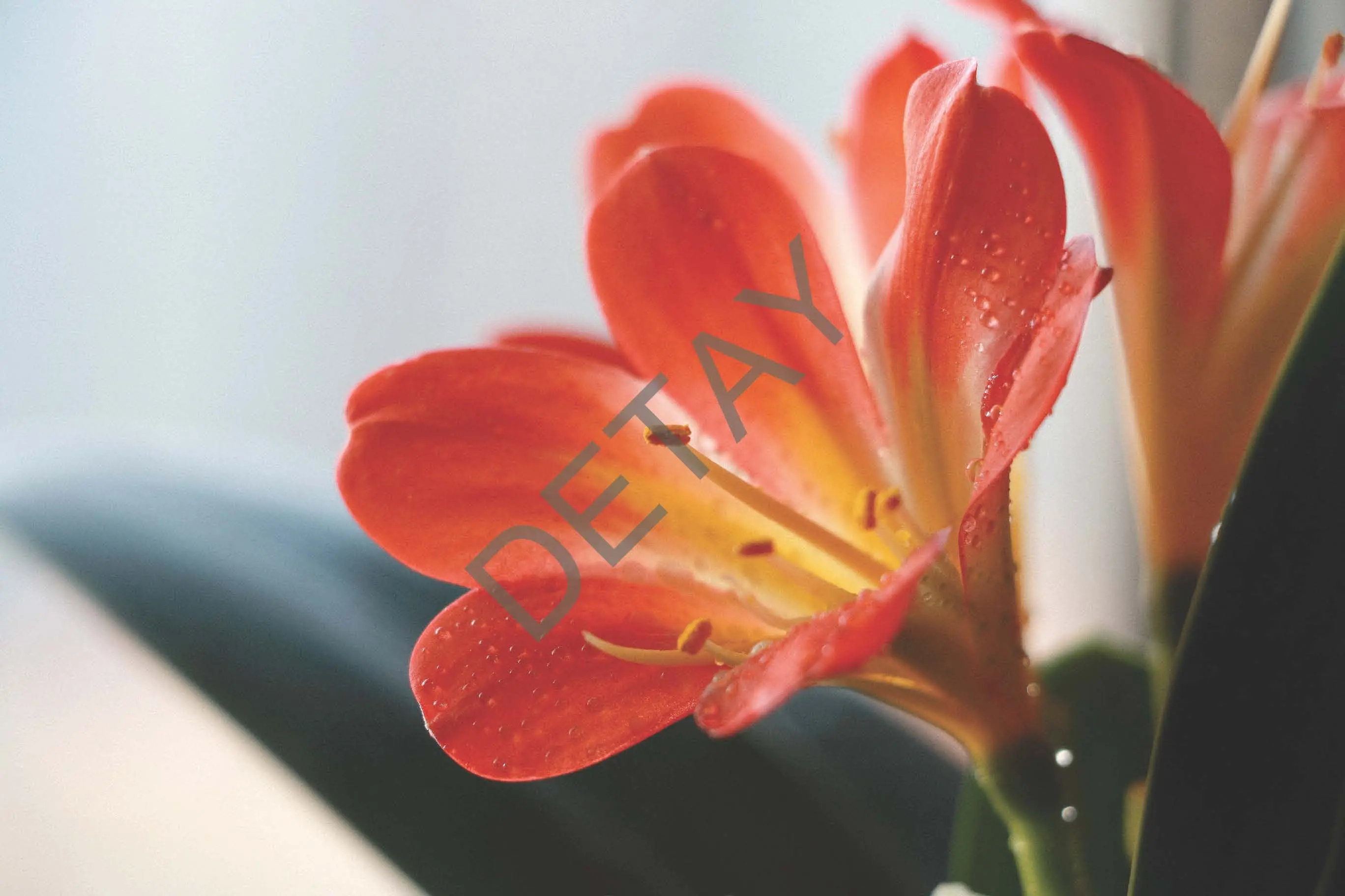 Rölyef Poster Baskı Kağıt Boyutu: 33x48cm 300 Gr. Kuşe Kagıt 10 Adet