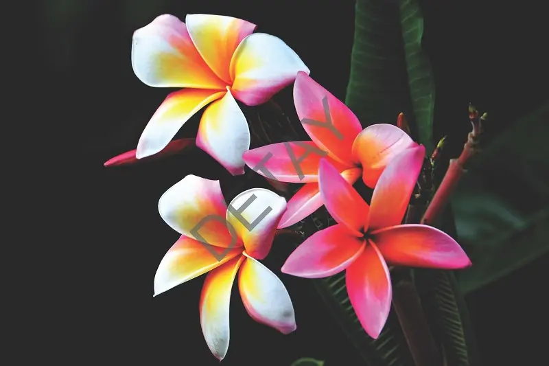 Rölyef Poster Baskı Kağıt Boyutu: 33x48cm 300 Gr. Kuşe Kagıt 10 Adet