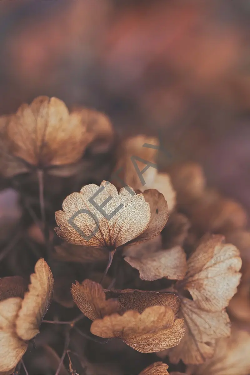 Rölyef Poster Baskı Kağıt Boyutu: 33x48cm 300 Gr. Kuşe Kagıt 10 Adet