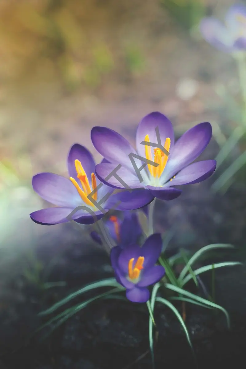 Rölyef Poster Baskı Kağıt Boyutu: 33x48cm 300 Gr. Kuşe Kagıt 10 Adet