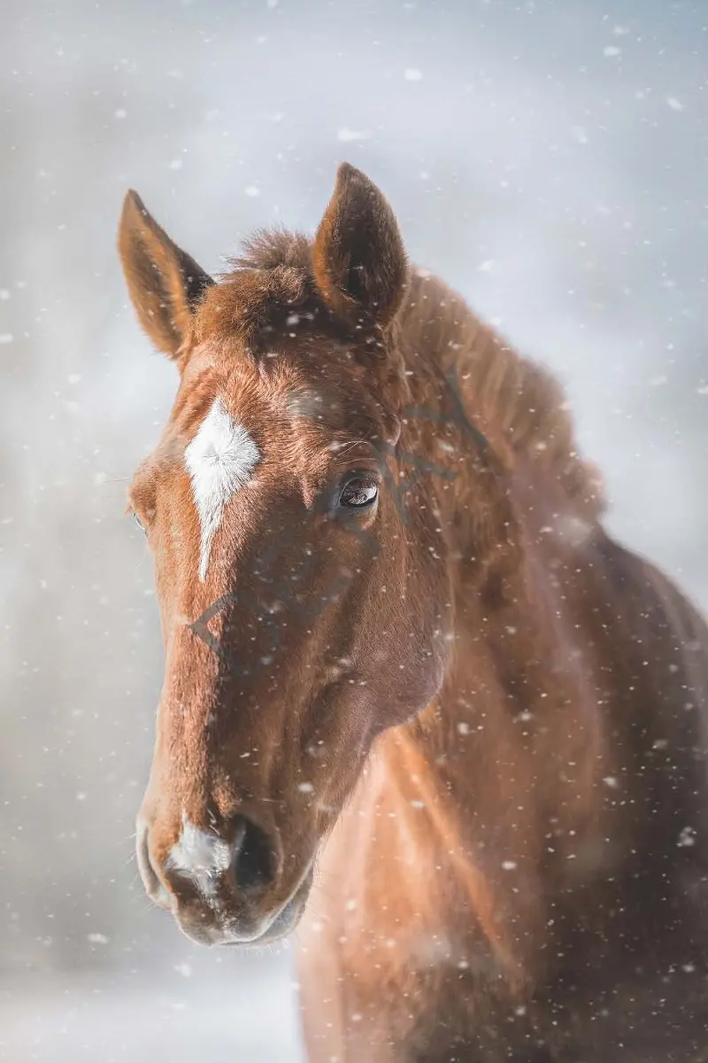 Rölyef Poster Baskı Kağıt Boyutu: 33x48cm 300 Gr. Kuşe Kagıt 10 Adet