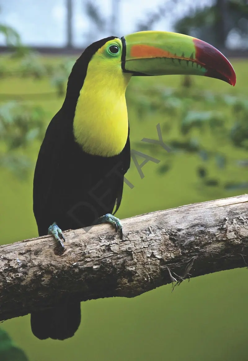 Rölyef Poster Baskı Kağıt Boyutu: 33x48cm 300 Gr. Kuşe Kagıt 10 Adet