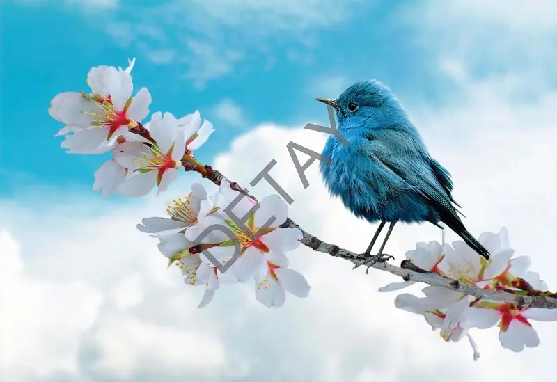 Rölyef Poster Baskı Kağıt Boyutu: 33x48cm 300 Gr. Kuşe Kagıt 10 Adet