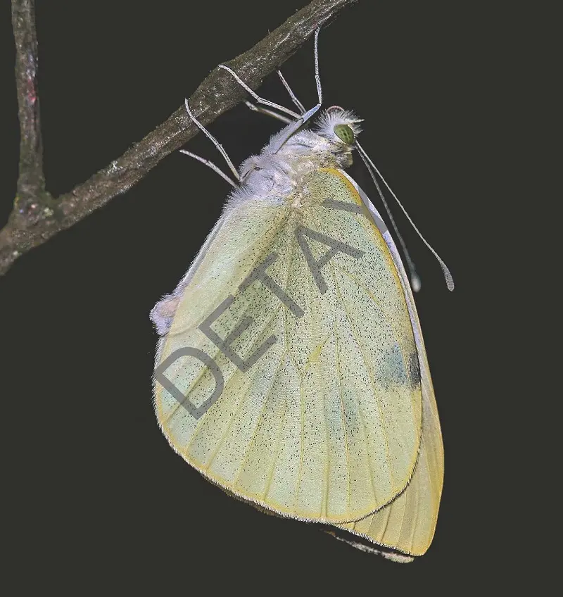 Rölyef Poster Baskı Kağıt Boyutu: 33x48cm 300 Gr. Kuşe Kagıt 10 Adet