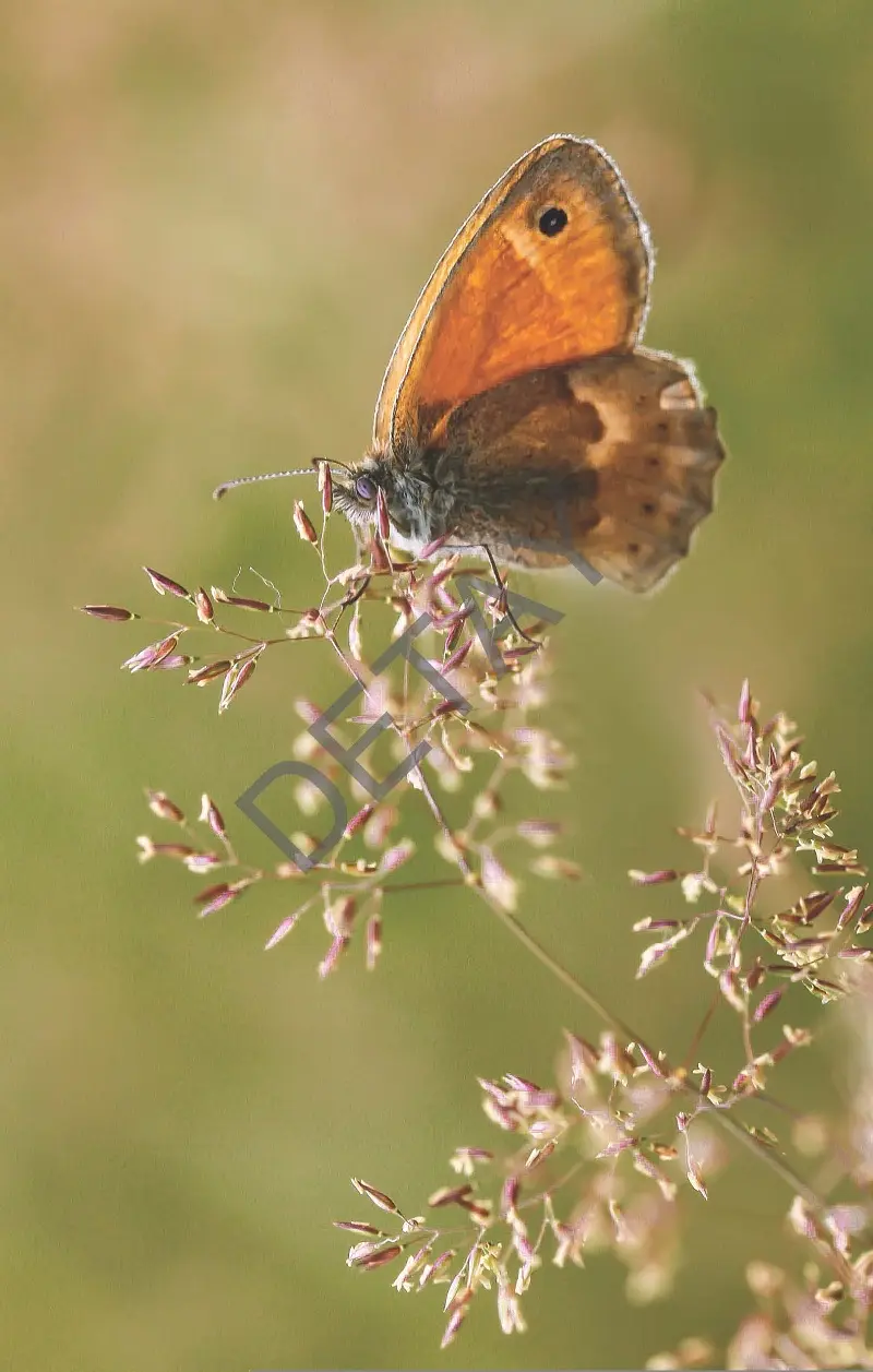 Rölyef Poster Baskı Kağıt Boyutu: 33x48cm 300 Gr. Kuşe Kagıt 10 Adet